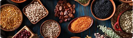 Grains & Seeds